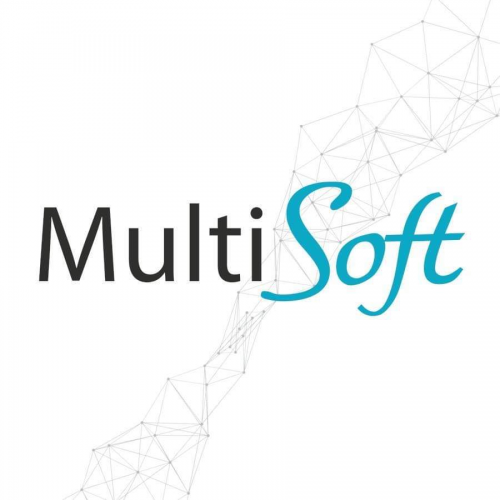 Rendszerfejlesztés – MultiSoft Kft.